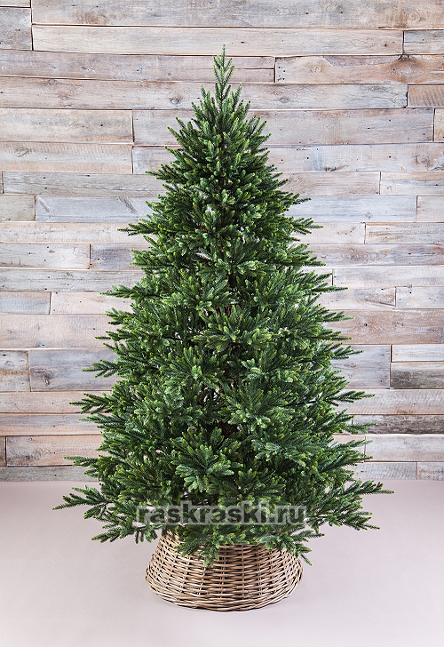   Triumph Tree « » 185 , 