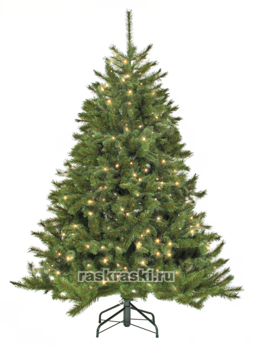   Triumph Tree « »   155 , 