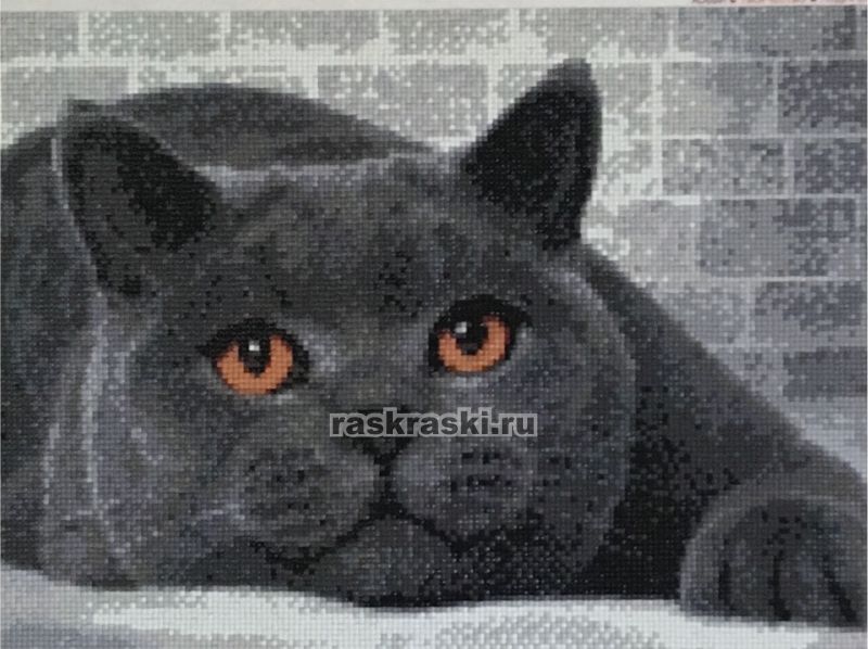 Алмазная Живопись «Британский кот» Алмазная живопись АЖ-1463