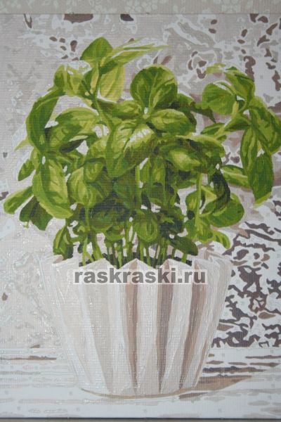 Schipper / ������� �� ������� ������� ����� 4 ��.� Schipper 9340687