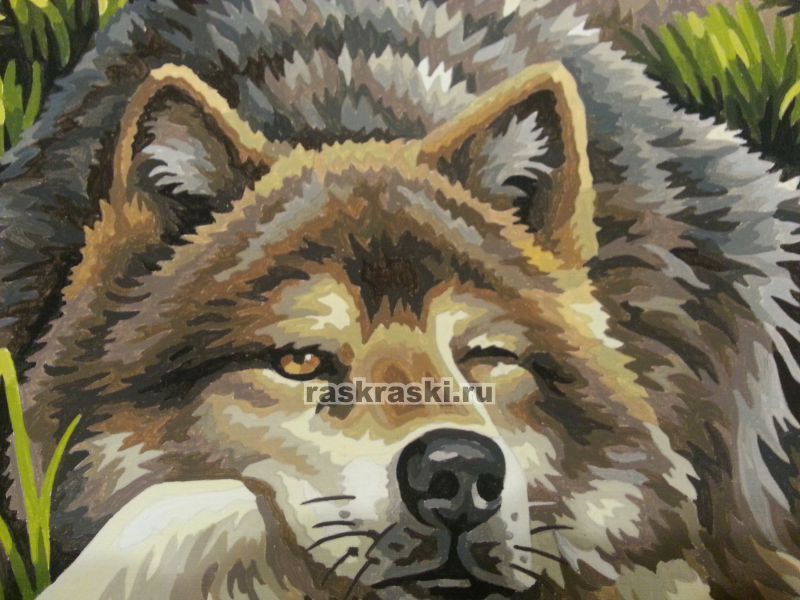 Dimensions / Картина по номерам «Дикие и свободные волки» Dimensions 91416
