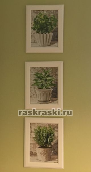 Schipper / ������� �� ������� ������� ����� 4 ��.� Schipper 9340687