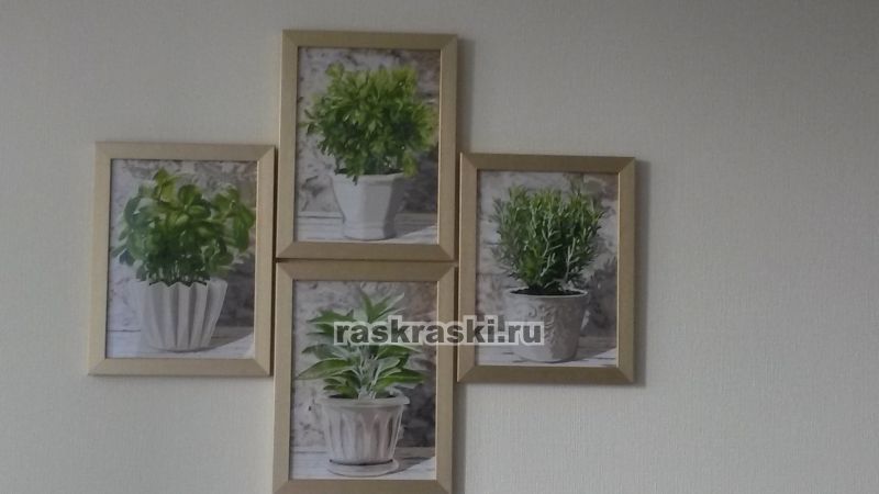 Schipper / ������� �� ������� ������� ����� 4 ��.� Schipper 9340687