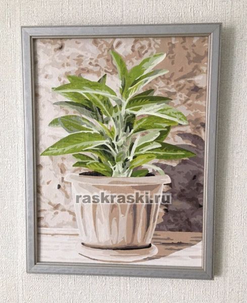 Schipper / ������� �� ������� ������� ����� 4 ��.� Schipper 9340687