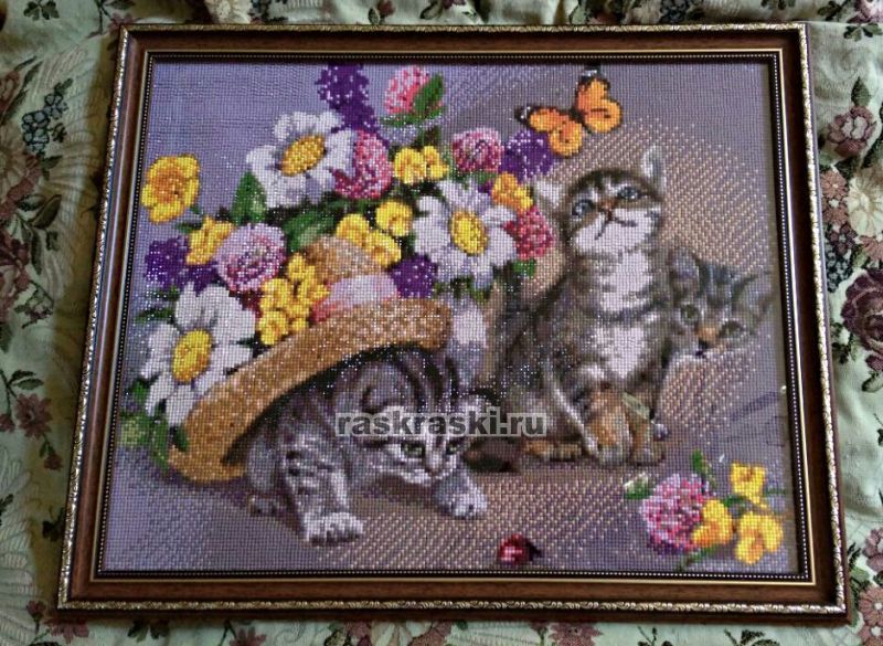      Dorothy  0023-16-1155