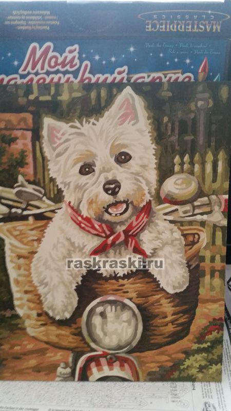 Как нарисовать вестика Как нарисовать вестика